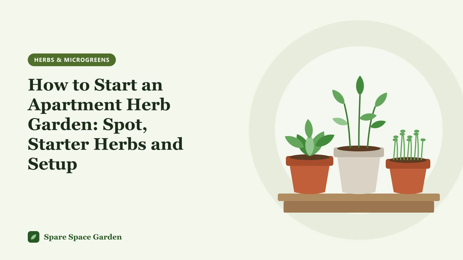 Illustration of an apartment herb garden, with six potted herbs on saucers along a sunny windowsill and a small balcony rail