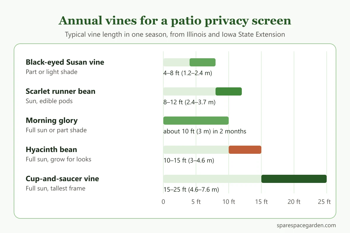 Chart comparing annual vines for an apartment patio privacy screen by length and light