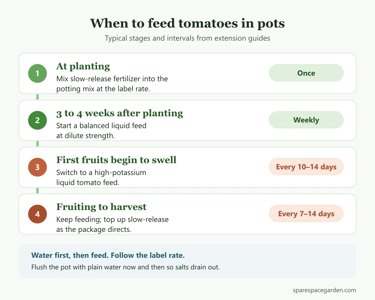 Timeline of the best fertilizer for tomatoes in pots: slow-release at planting, liquid feed from week 3 to 4, high-potassium feed once fruits swell