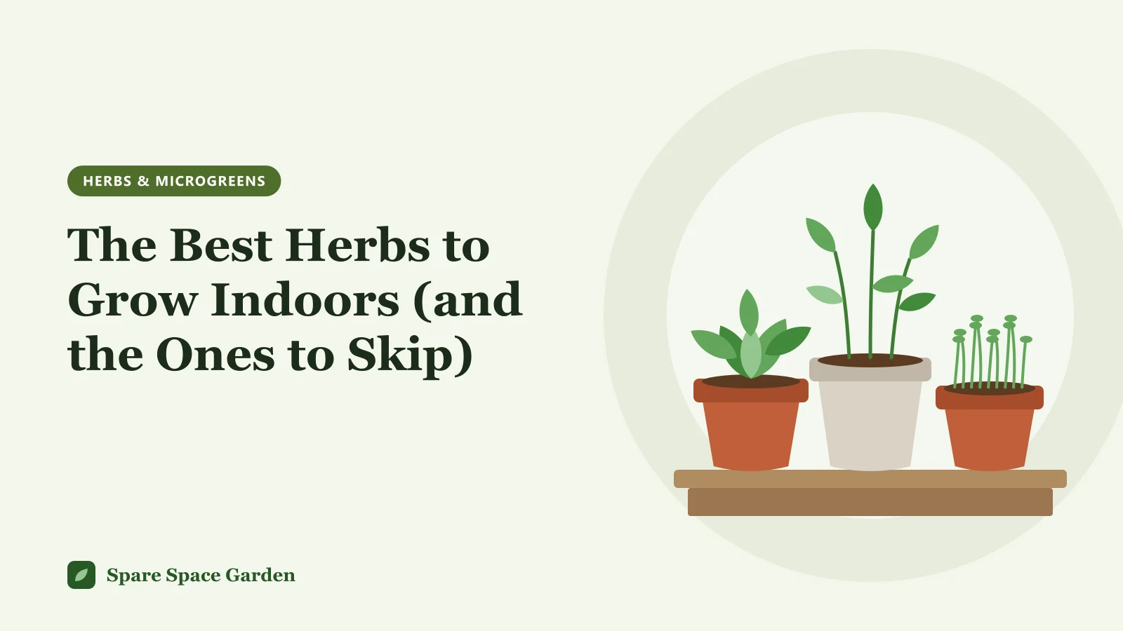 Illustration of the best herbs to grow indoors, with pots of chives, parsley, mint and thyme on a sunny kitchen windowsill