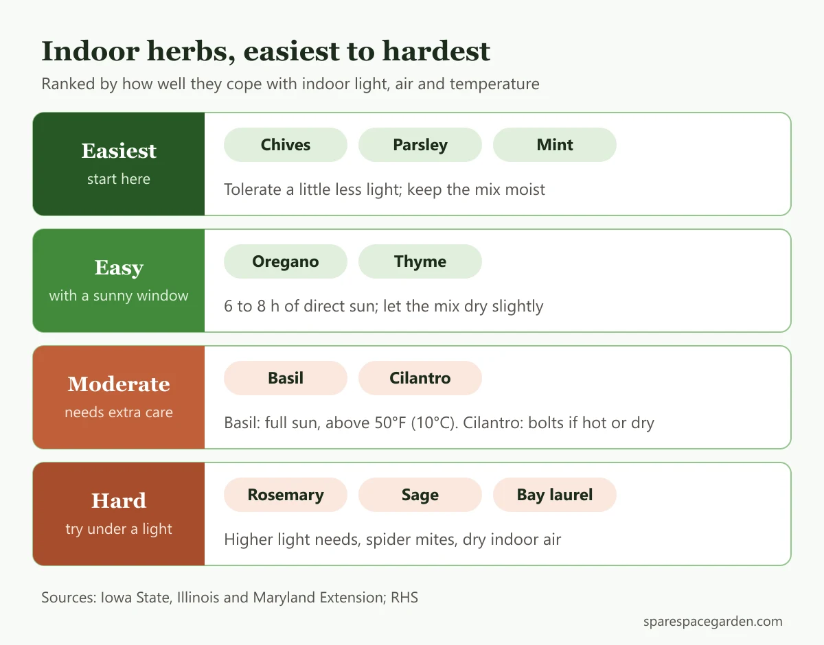 Ranked chart of the best herbs to grow indoors, from easy herbs like chives, parsley and mint to harder herbs like rosemary, sage and bay