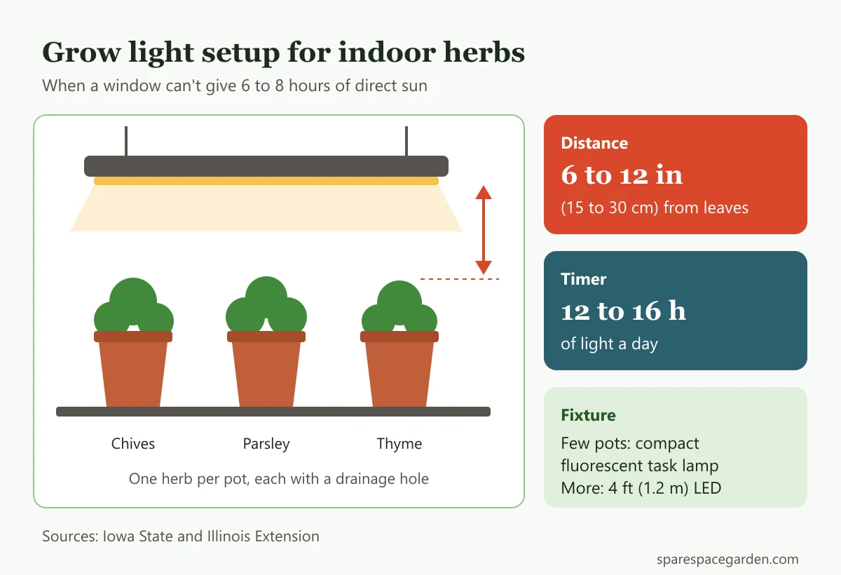 Diagram of a grow light setup for the best herbs to grow indoors, with the light 6 to 12 inches above the leaves for 12 to 16 hours a day