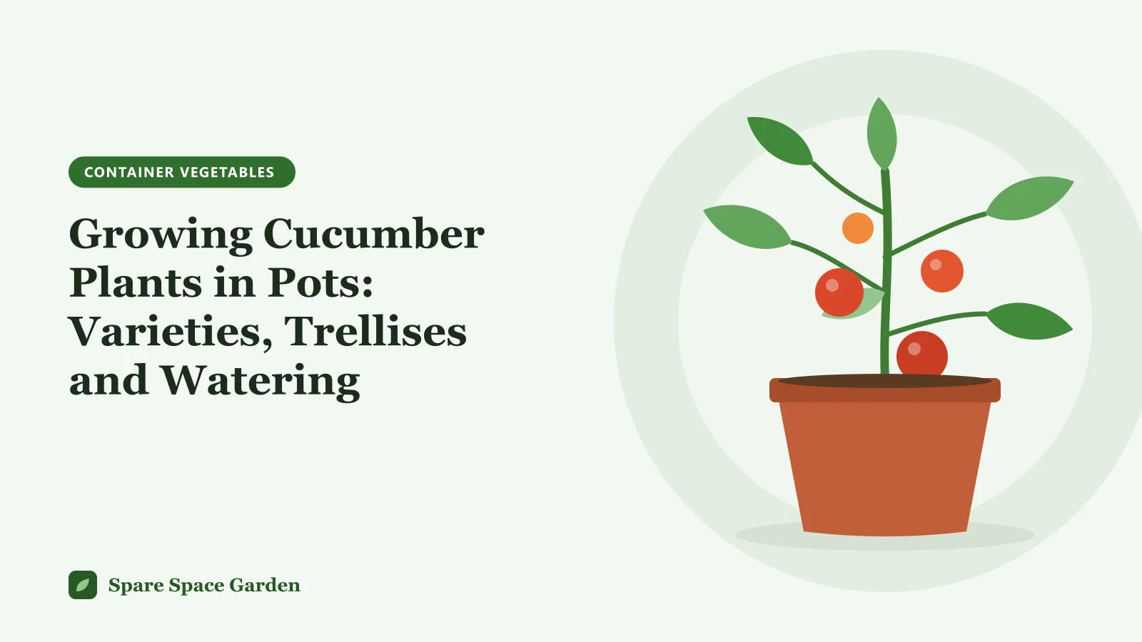Illustration of cucumber plants in pots, with a bush cucumber and a vining cucumber climbing a small trellis on a sunny balcony