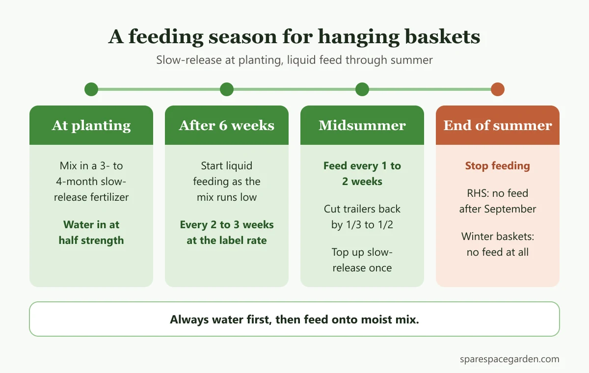 Season timeline for fertilizer for hanging baskets: slow-release at planting, liquid feed every 1 to 3 weeks in summer, stop at the end of summer