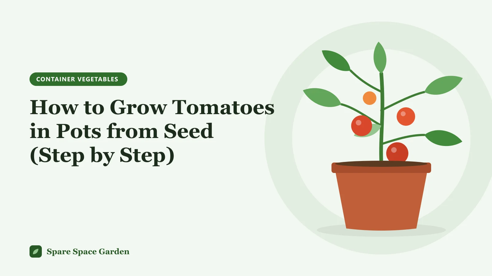 Illustration of how to grow tomatoes in pots from seeds, showing a seed tray, a young seedling and a tomato plant in a large container