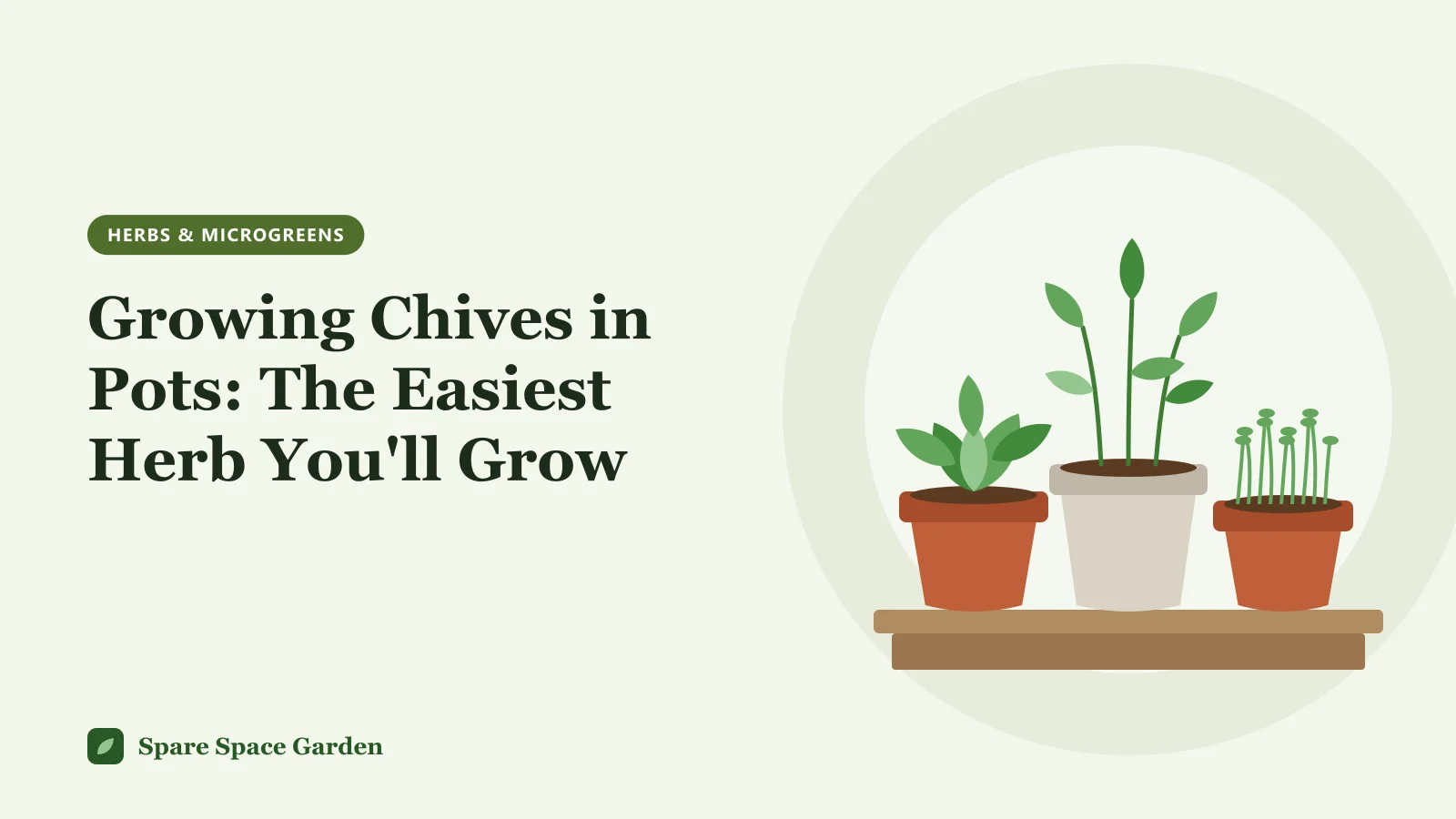 Illustration of growing chives in pots, with a clump of green chives and pink flowers in a terracotta container