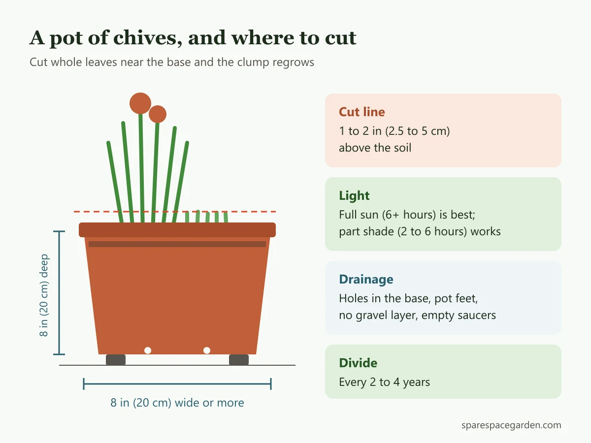 Diagram of a pot for growing chives showing an 8 inch wide and deep container, cutting height 1 to 2 inches above the soil, drainage holes and pot feet