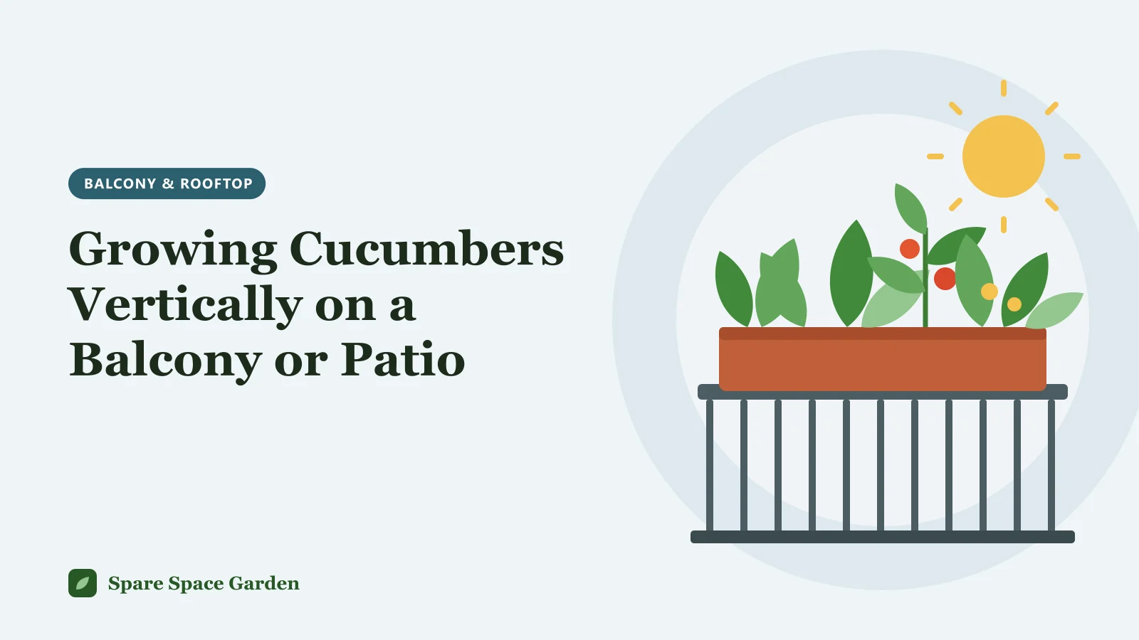 Illustration of growing cucumbers vertically on a balcony, with a vining cucumber climbing netting from a large pot beside a railing