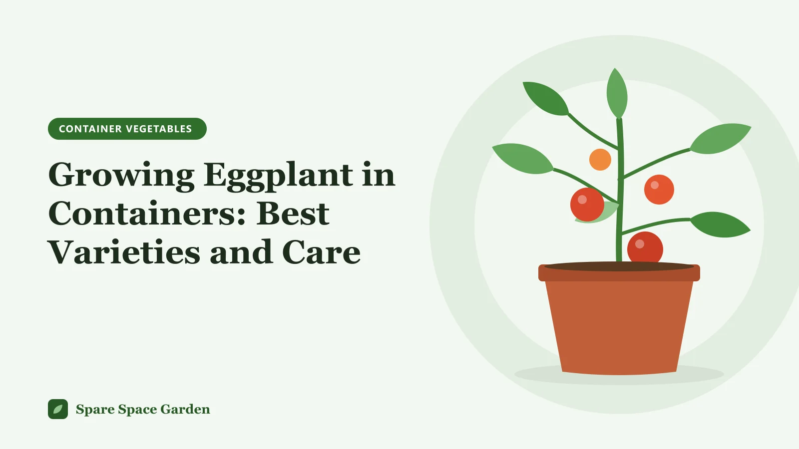 Illustration of growing eggplant in containers, with a purple eggplant plant staked in a pot on a sunny patio