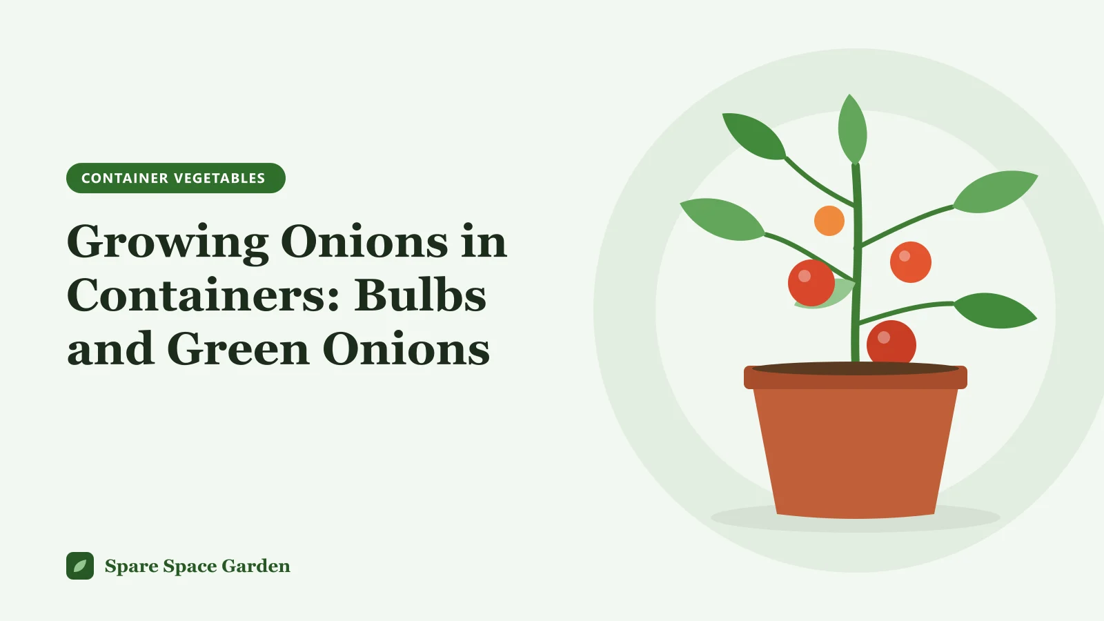 Illustration of growing onions in containers, with bulb onions in a wide pot and green onions in a shallow planter on a sunny balcony