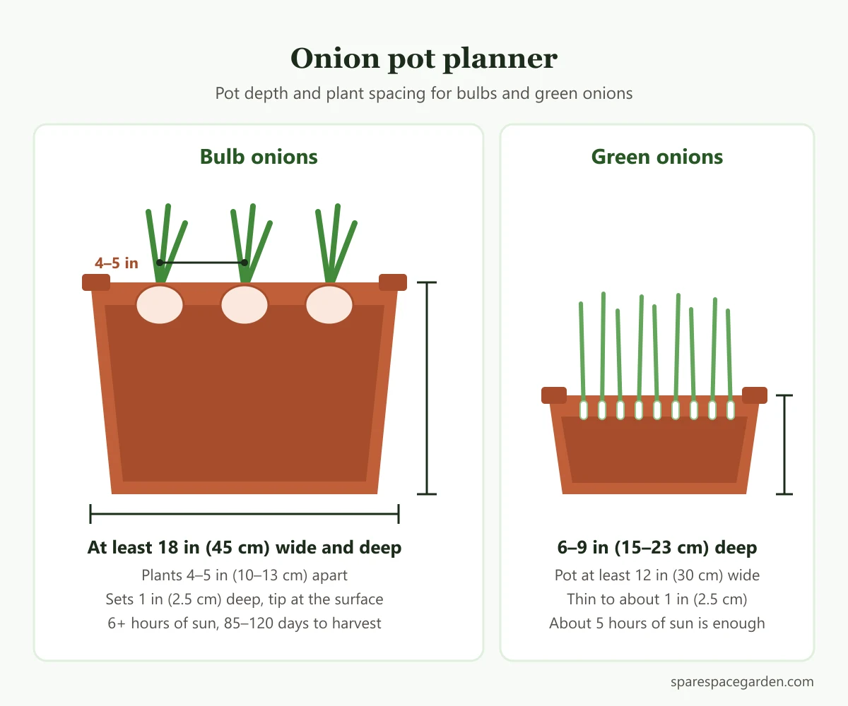 Onion container planner showing pot depth and plant spacing for bulb onions and green onions