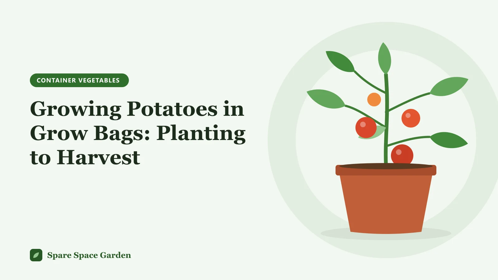 Illustration of growing potatoes in grow bags, with leafy potato plants in fabric bags and fresh potatoes tipped out on a tarp