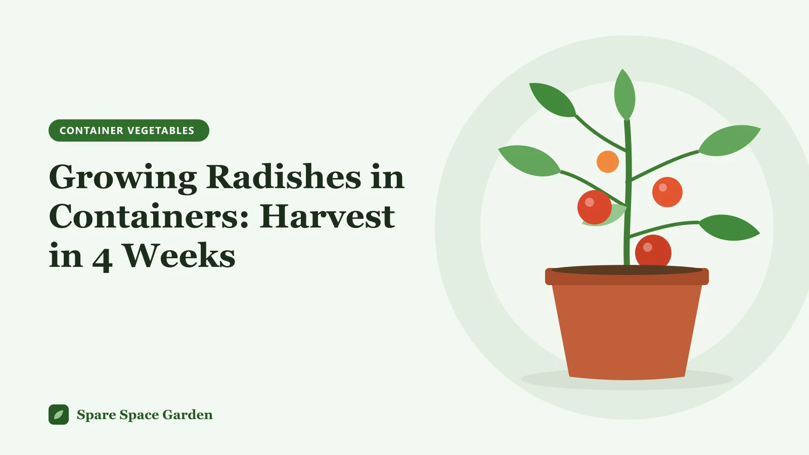 Illustration of growing radishes in containers, with red round radishes and a long white daikon in pots on a balcony