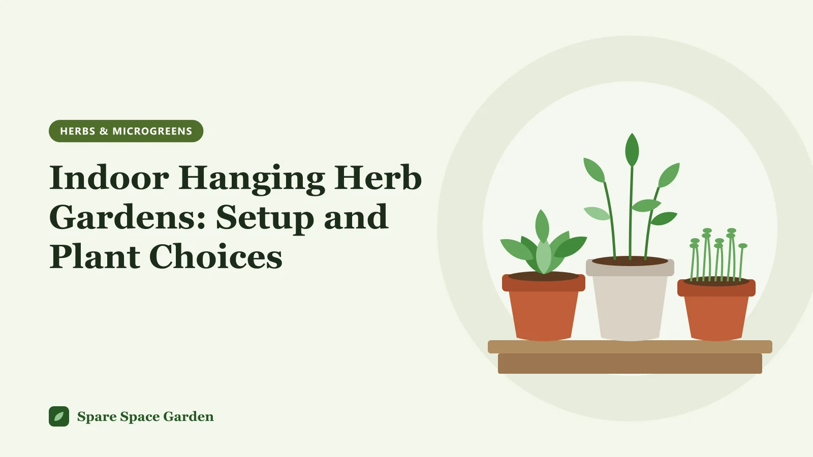 Illustration of a hanging herb garden indoors, with trailing thyme and oregano in pots hanging in front of a bright window
