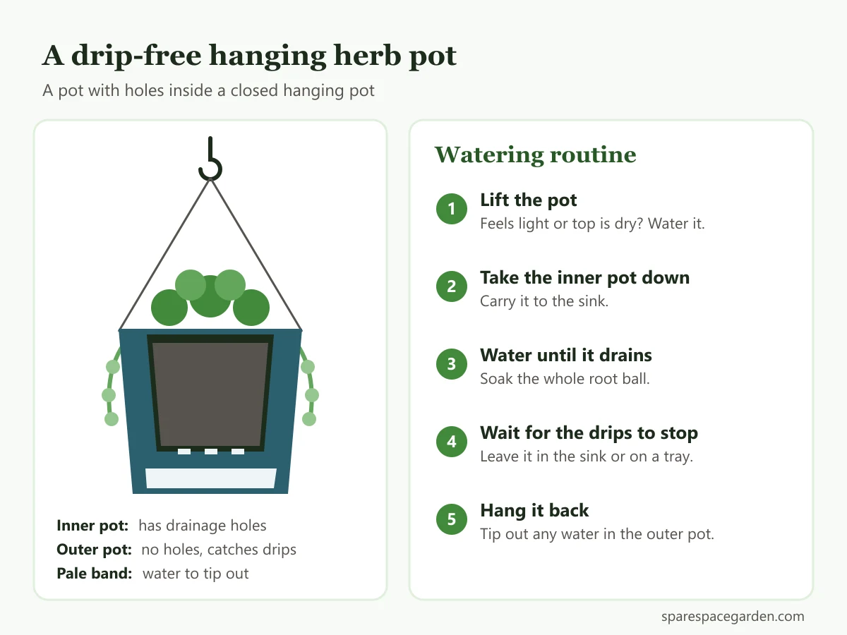 Cross-section of a drip-free hanging herb pot indoors, with a removable inner pot inside a closed outer pot and a lift test for watering
