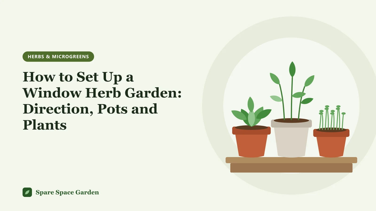 Illustration of an herb window garden, with potted basil, thyme and parsley lined up on a sunny windowsill