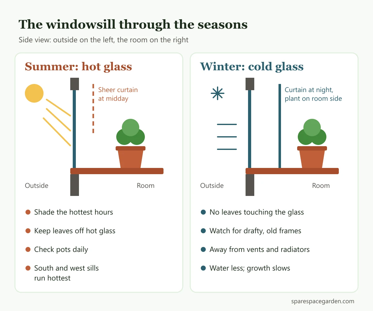 Diagram comparing summer and winter care for an herb window garden, showing shading hot glass and keeping leaves away from cold glass