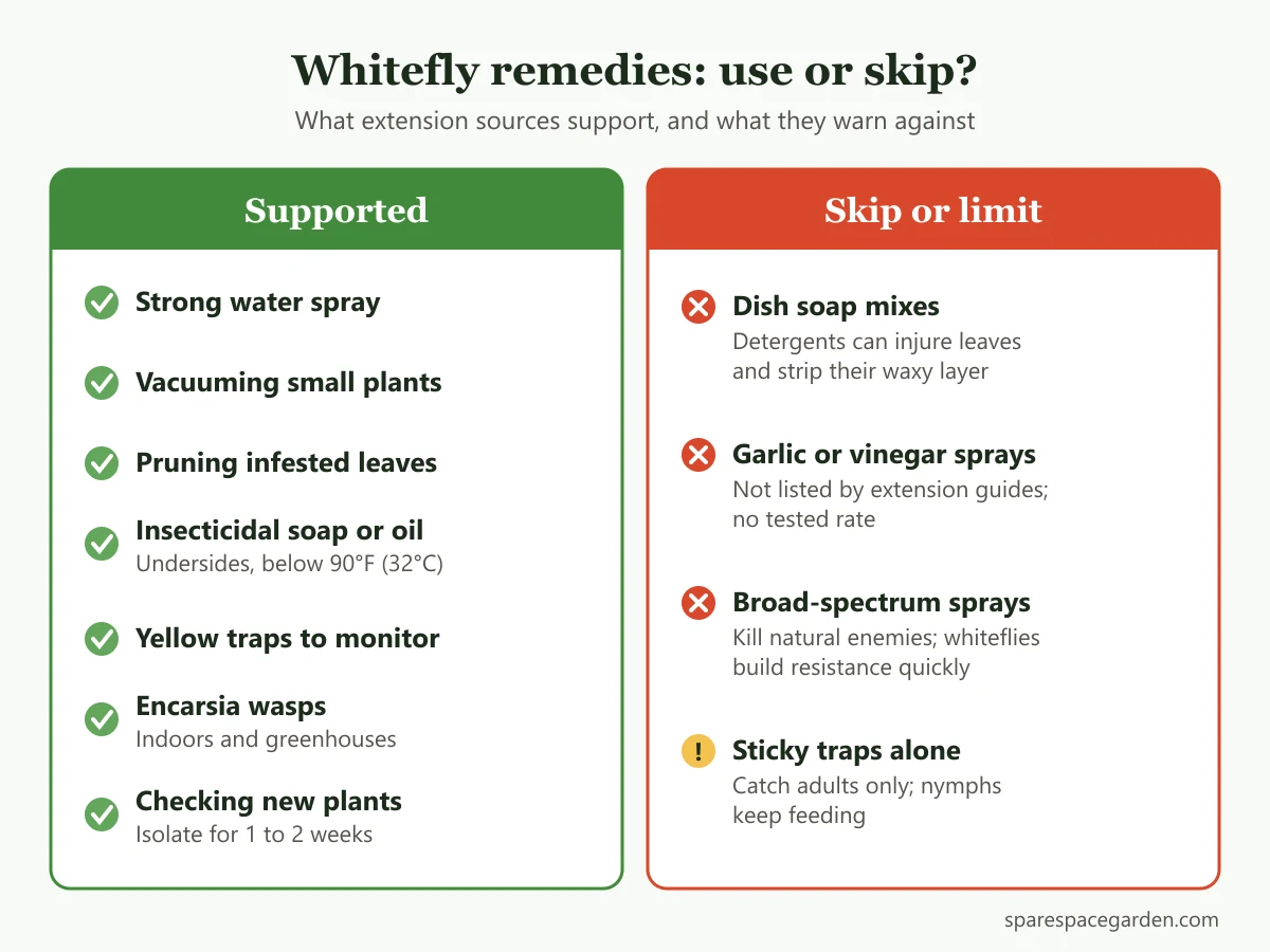 Comparison of whitefly home remedies that sources support versus popular remedies to avoid