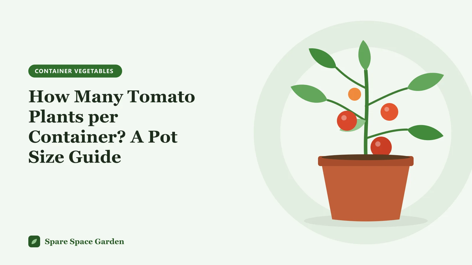Illustration of how many tomato plants per container, showing one tomato plant each in a small pot, a 5-gallon bucket and a large tub