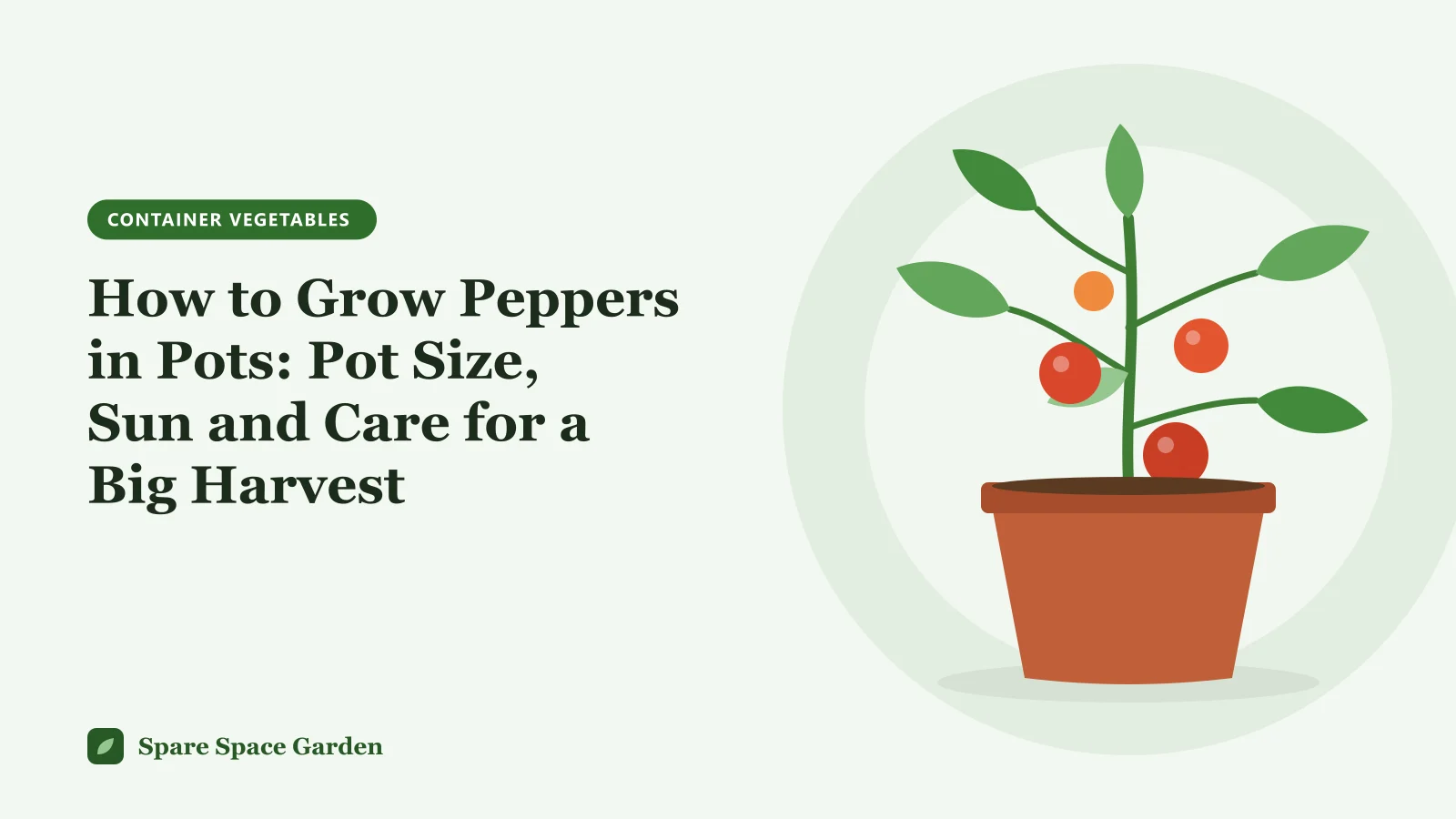 Illustration of how to grow peppers in pots, with a bell pepper and a chili plant in containers on a sunny patio