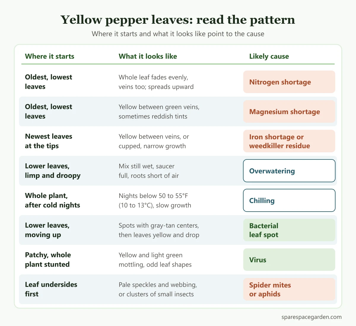 Diagnosis chart for pepper plant leaves turning yellow, matching where the yellowing starts to the likely cause