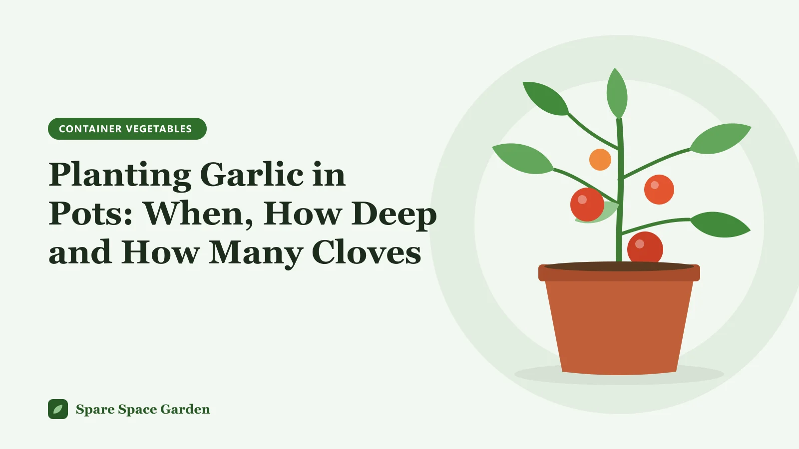 Illustration of planting garlic in pots, with garlic cloves set in a deep container and a harvested bulb beside it