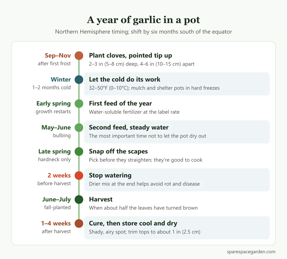 Garlic growing timeline for pots from fall planting through winter cold, spring scapes, summer harvest and curing