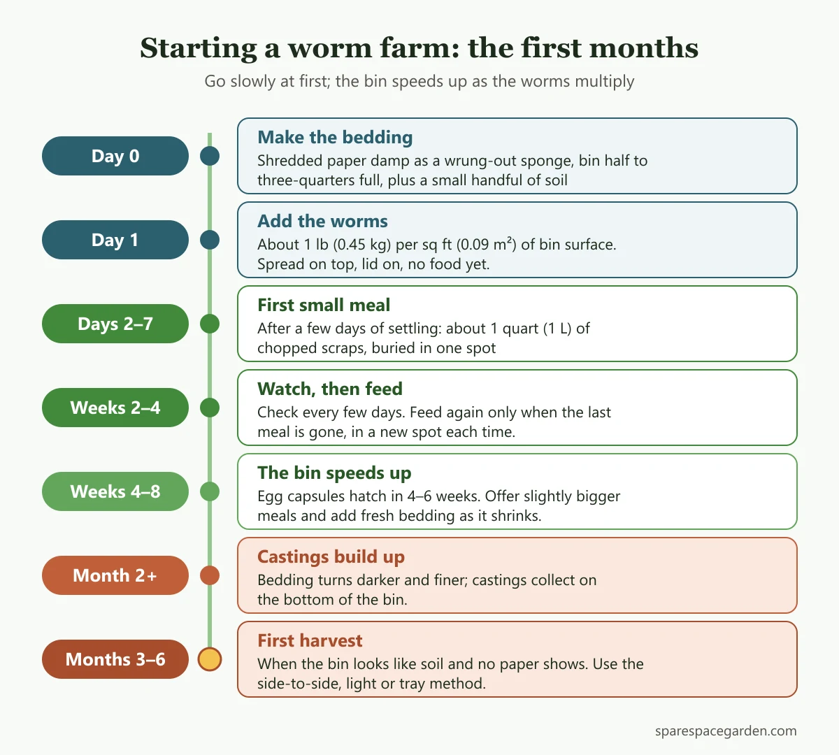 Timeline for starting a worm farm from day 0 bedding setup to the first harvest at 3 to 6 months