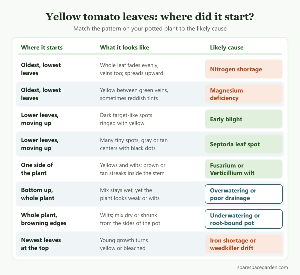 Diagnosis chart for yellow leaves on tomato plants in pots, matching where the yellowing starts to the likely cause