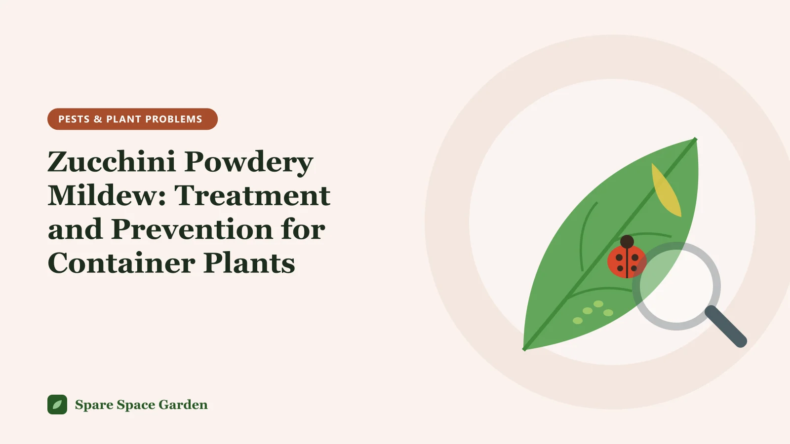 Illustration of zucchini powdery mildew treatment, showing a zucchini leaf with white powdery spots, a hand sprayer and pruning snips